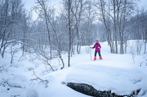 Tromsø  Winter Short Break - Four Nights 2